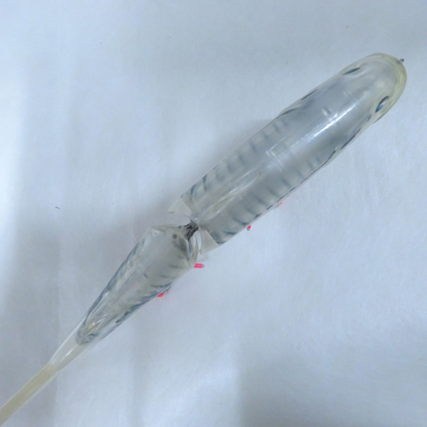 newスライドスイマー175F